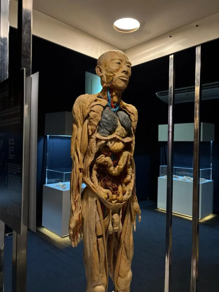 WhatsApp Image 2026-03-16 at 16.36.36 (1)