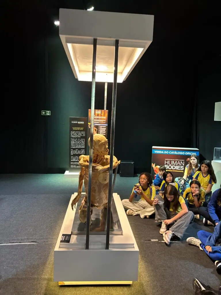 WhatsApp Image 2026-03-16 at 16.36.36