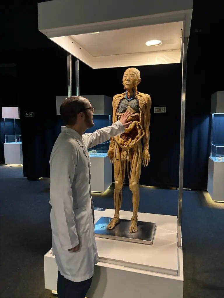 WhatsApp Image 2026-03-16 at 16.36.37