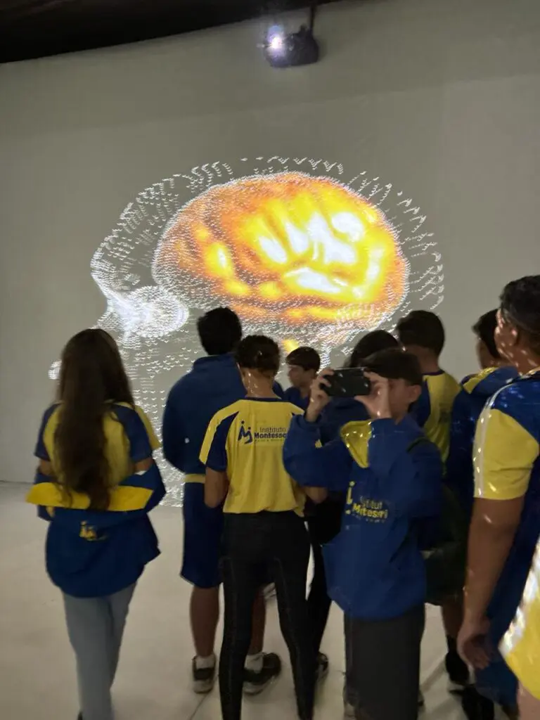 WhatsApp Image 2026-03-16 at 16.36.38 (1)