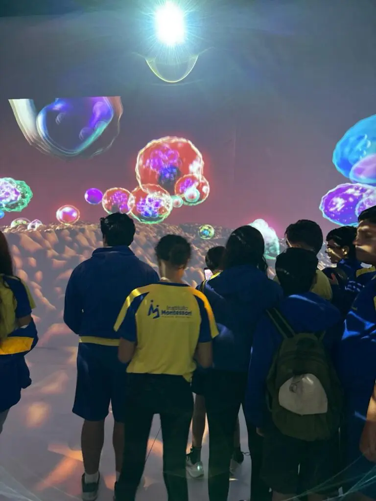 WhatsApp Image 2026-03-16 at 16.36.41