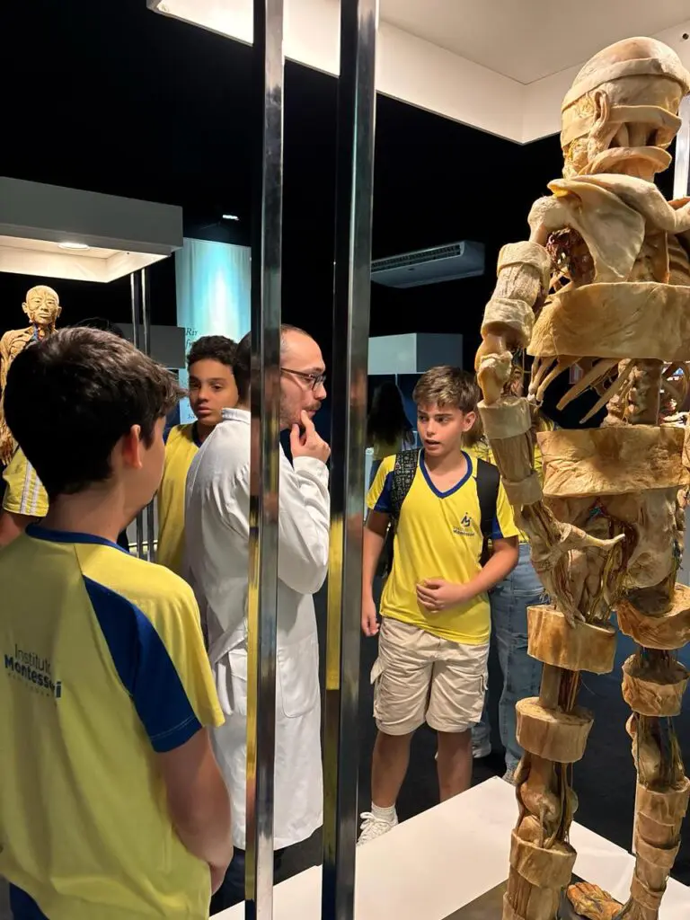 WhatsApp Image 2026-03-16 at 16.36.44 (1)