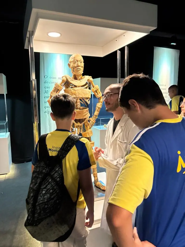 WhatsApp Image 2026-03-16 at 16.36.44 (2)