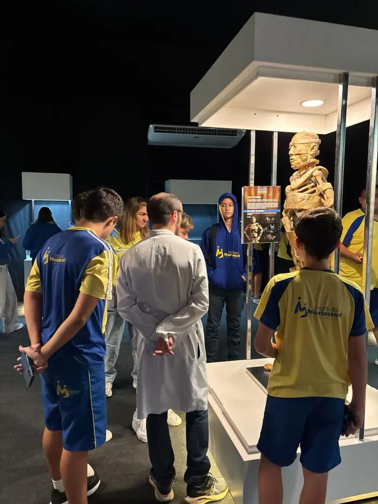 WhatsApp Image 2026-03-16 at 16.36.44