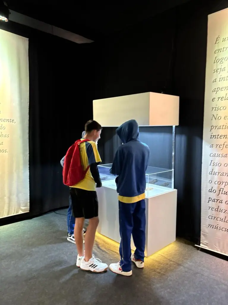 WhatsApp Image 2026-03-16 at 16.36.47