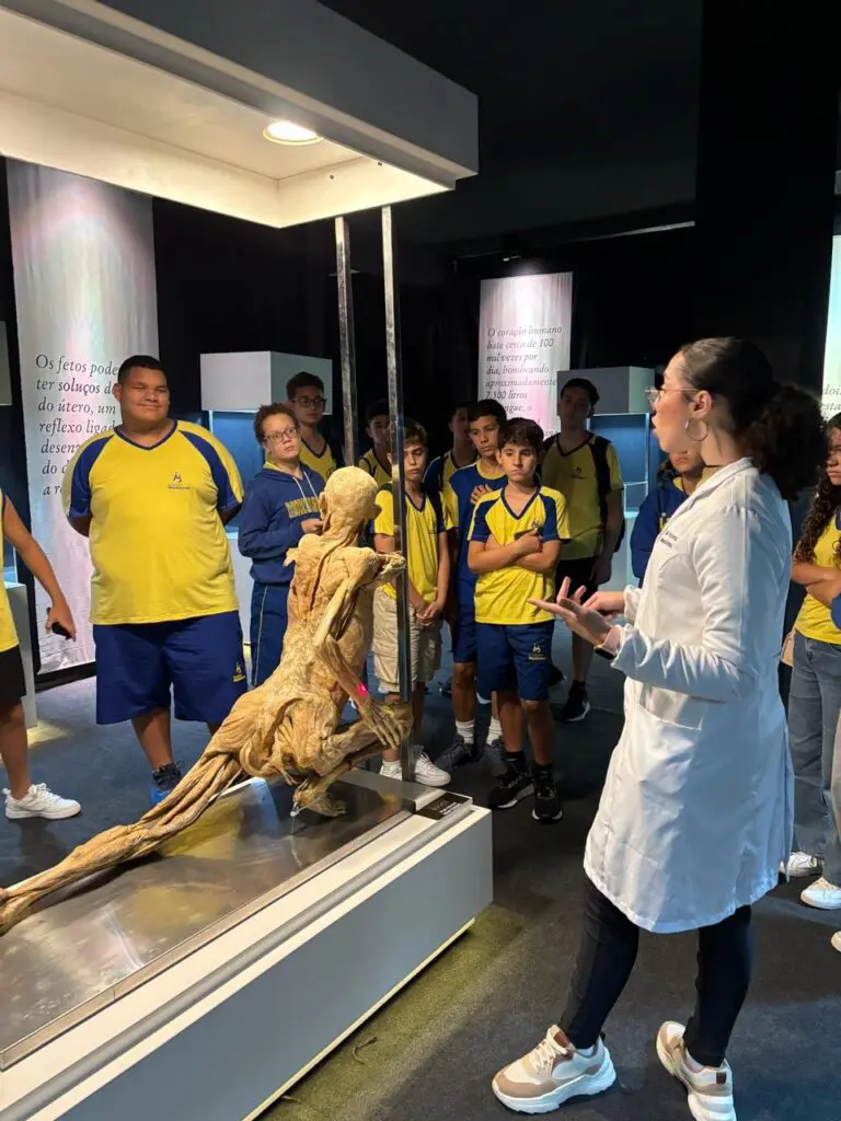 WhatsApp Image 2026-03-16 at 16.36.48 (1)