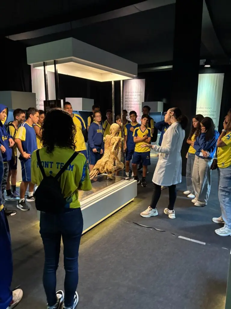 WhatsApp Image 2026-03-16 at 16.36.48