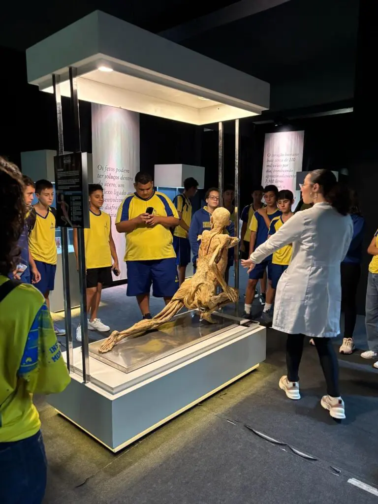 WhatsApp Image 2026-03-16 at 16.36.49