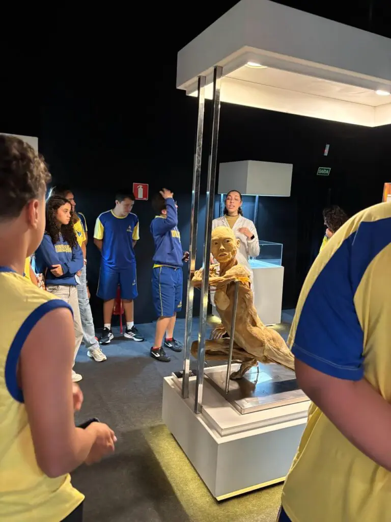 WhatsApp Image 2026-03-16 at 16.36.50