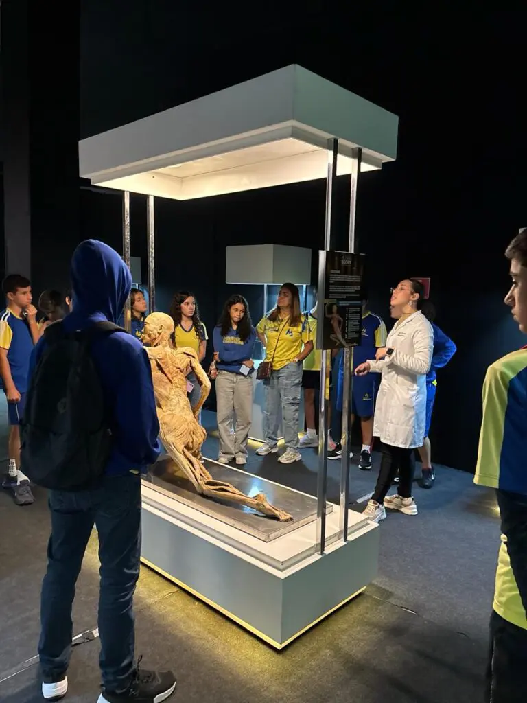 WhatsApp Image 2026-03-16 at 16.36.52 (1)