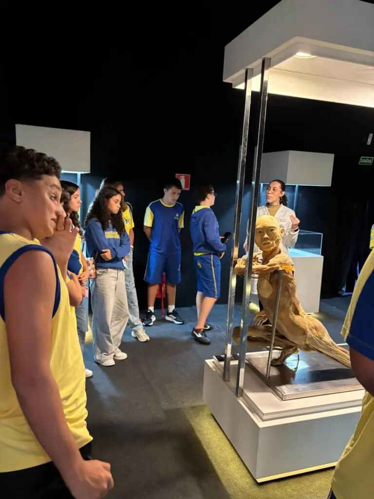 WhatsApp Image 2026-03-16 at 16.36.52