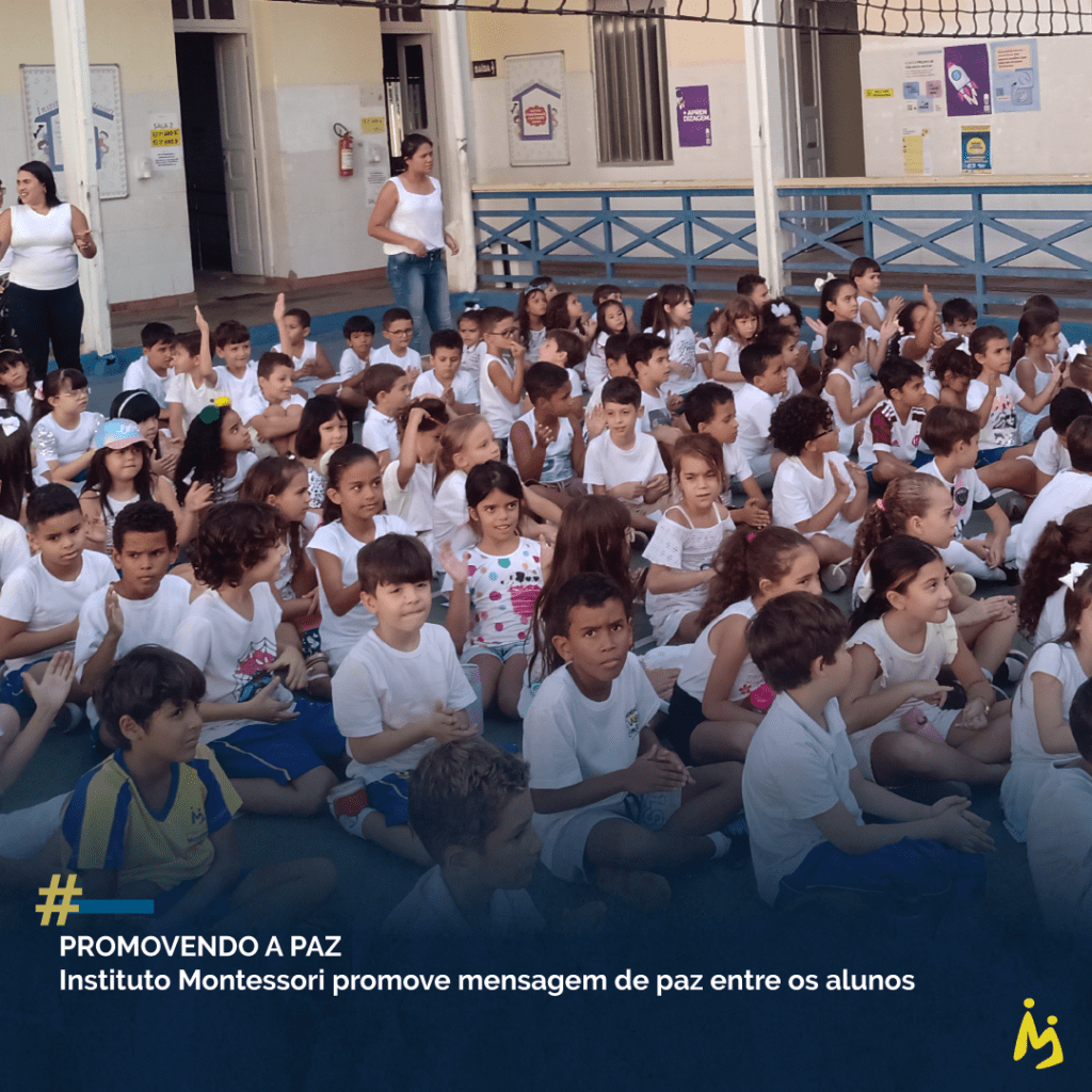 Instituto Montessori Ponte Nova Mg Promovendo A Paz